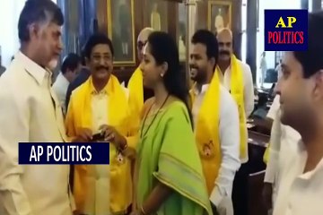 ఢిల్లీ పార్లమెంటులో ఖుషీ ఖుషీగా చంద్రబాబు CM Chandrababu Naidu meets with Political-AP Politics