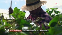 Nouvelle-Calédonie : les électeurs choisiront-ils l'indépendance ?