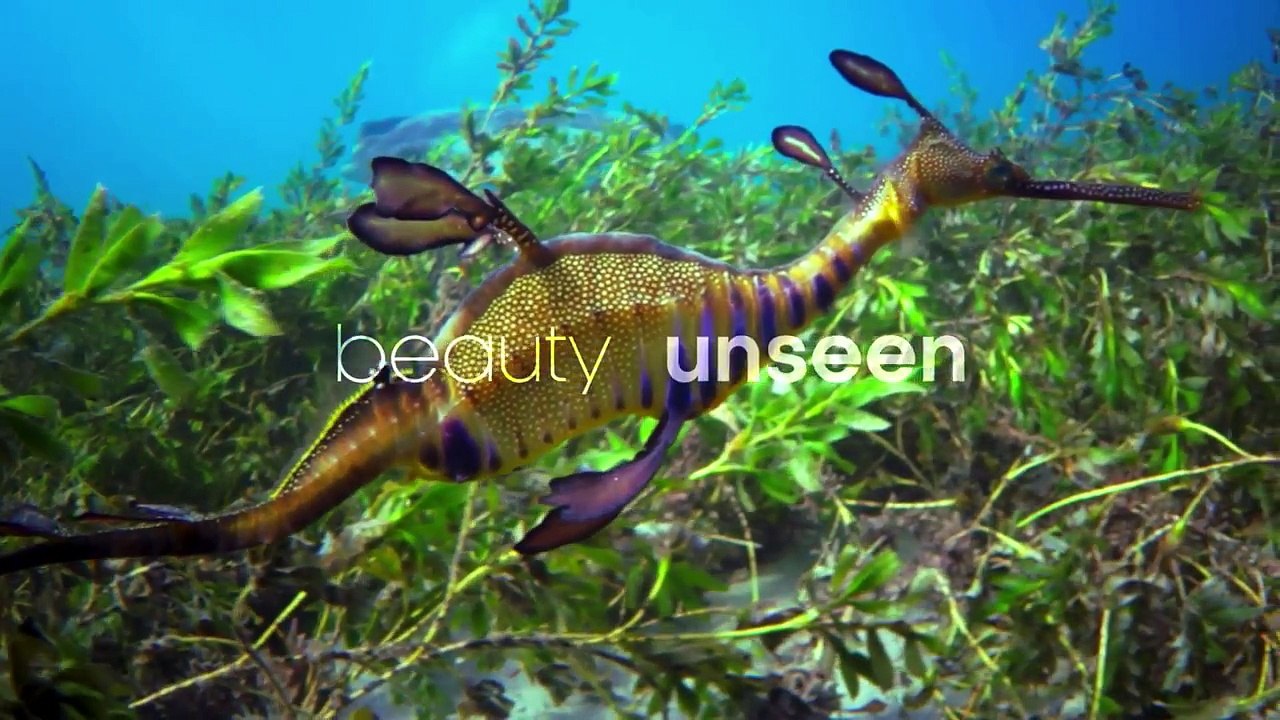 Blue Planet II (2018) Sony BBC Earth