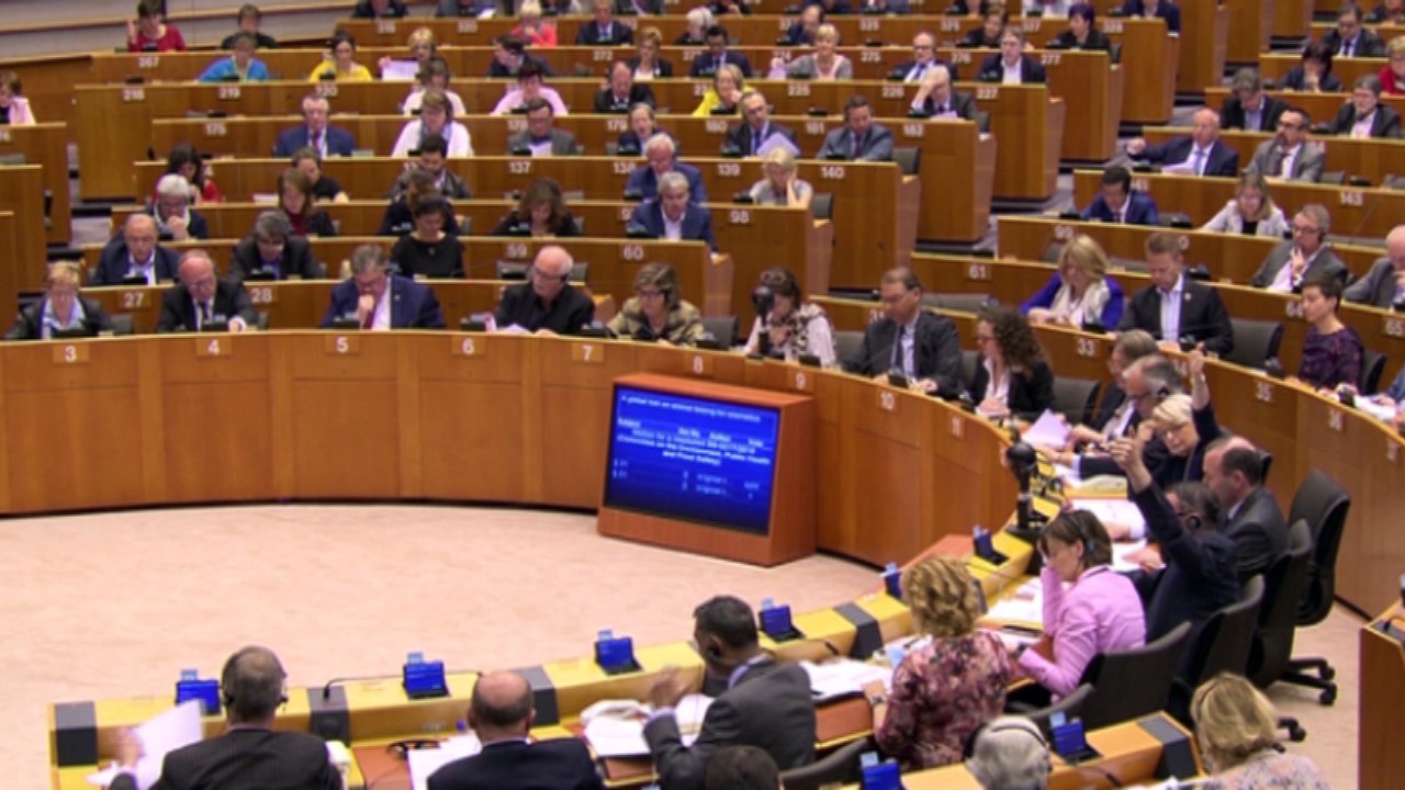 Eurocámara pide prohibición de experimentación cosmética en animales