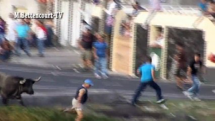 Touradas Engraçadas para Rir - Funny Videos 2018 - Best youtube videos