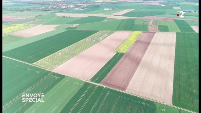 Pour enrayer l'extinction des insectes et des oiseaux, le temps presse