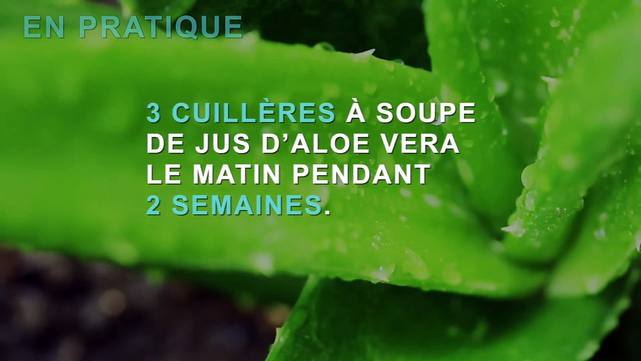 Aloe vera :  3 vertus santé