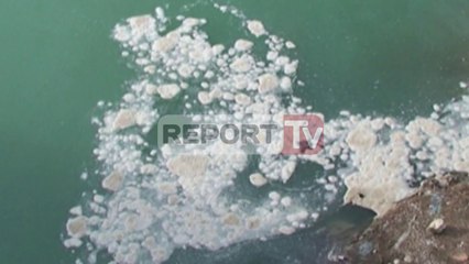 Report TV - Lumi Osum në Berat tërësisht i ndotur, Bashkia asnjë reagim