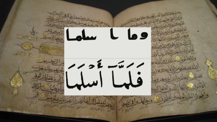 Koran Textual Criticism 4 - Variants of the Koran