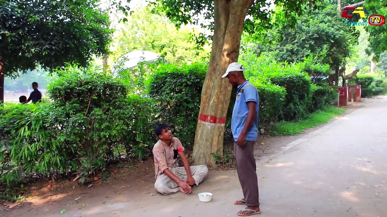Funny Videos