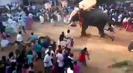 Elephant attack in a Temple festival in india...!!!