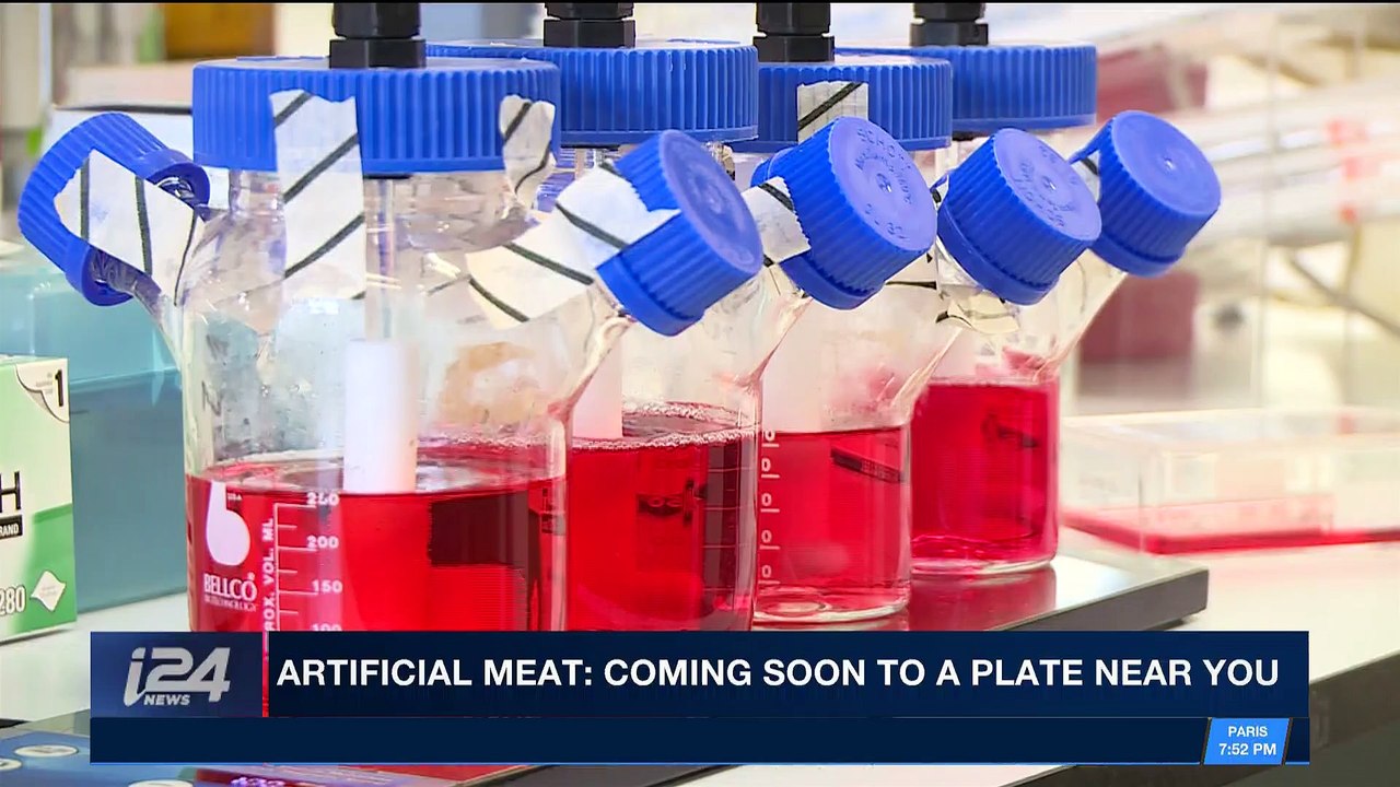THE RUNDOWN | Artificial meat: coming soon to a plate near you | Thursday, May 3rd 2018