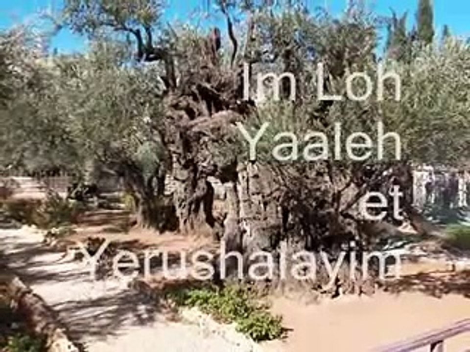 Yerushalayim