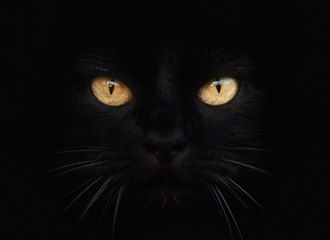 D'où viennent les superstitions ? On vous explique tout !