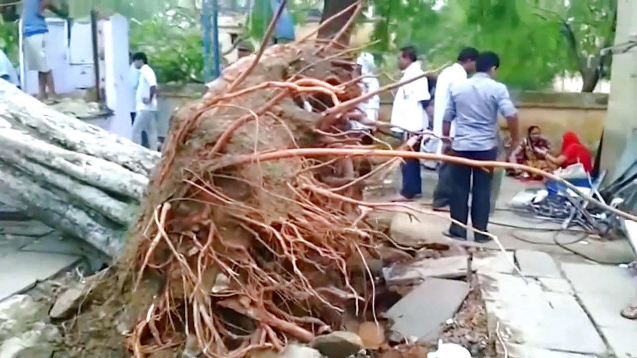 Scores dead as dust storm and heavy rain sweeps through India
