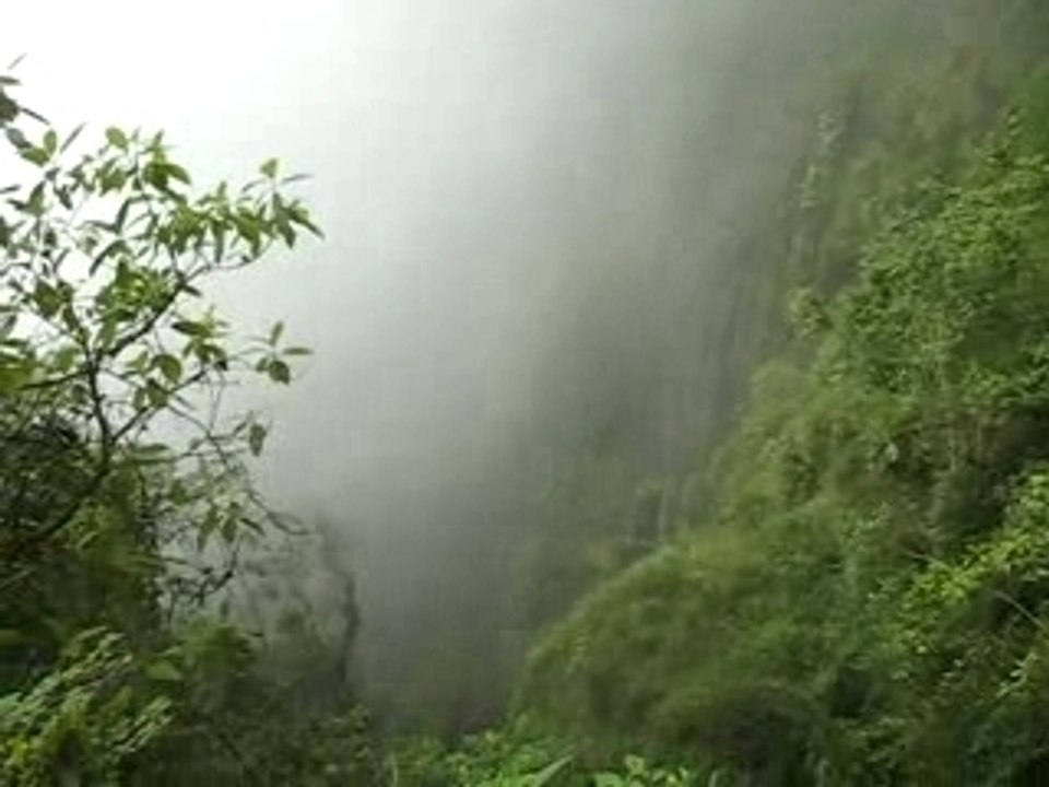 Ex-Route La paz a Coroico - Bolivie