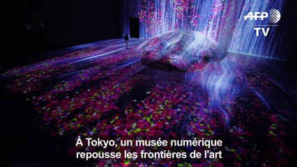 Tokyo: un musée numérique pour repousser les frontières de l'art