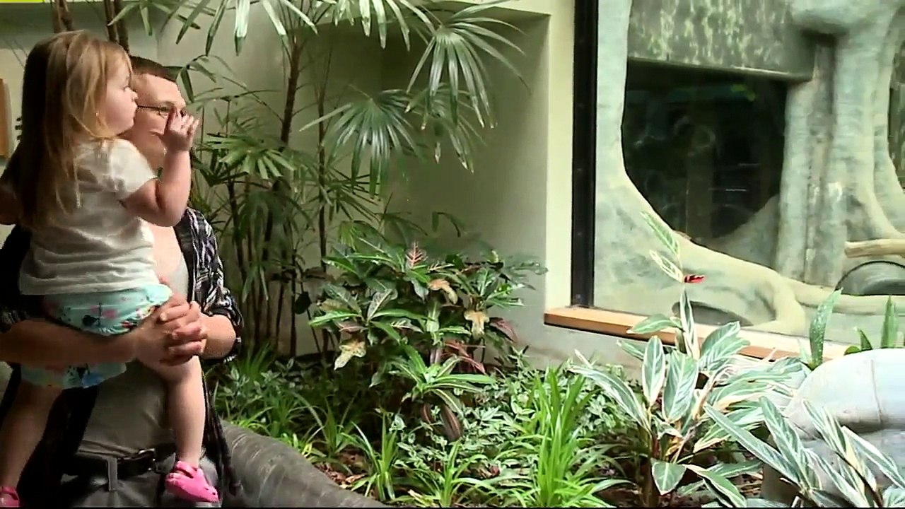 Mystery Surrounds Deaths of 2 Gorillas at Milwaukee Zoo