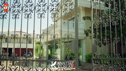Nefise’nin itirafını, Muzaffer duyuyor mu? - Kanatsız Kuşlar 44.Bölüm