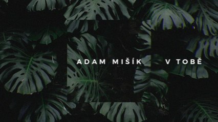 Adam Mišík - V tobě