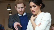 Meghan Markle's brother just told Prince Harry to cancel the royal wedding