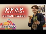 Yohan Hwang - PPAP Challenge