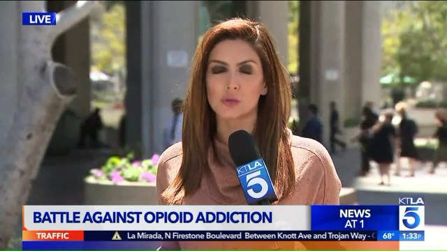 Los Angeles, Officials Announce Lawsuit Against Opioid Manufacturers