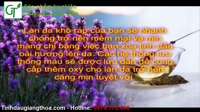 Tinh Dầu Oải Hương Lavender - Công Dụng Và Hướng Dẫn Cách Sử Dụng Tinh Dầu Oải Hương