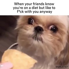 When your friends know you're on a diet but like to f*ck with you anyway
