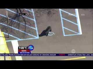 Beruang Ke Permukiman Warga -NET24