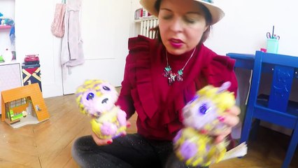 HATCHIMALS - LA FAMILLE S'AGRANDIT !!! - Combien de bébés la maman Hatchimals va-t-elle avoir -
