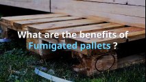 Fumigated Pallet Suppliers in UAE - Emirates  Pallet Factory