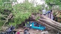 Over 100 Lost Their Lives After Dust Storm and Heavy Rain Hit UP, Rajasthan