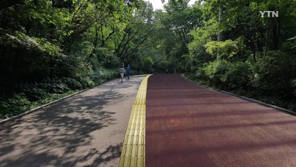 남산공원 노후 산책로 11년 만에 새 단장 / YTN