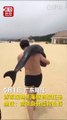 Ce touriste porte un dauphin sur l'épaule à la plage en Chine !