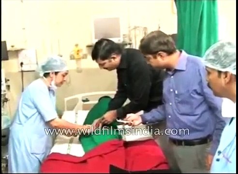 This boy has a tail, and the doctors are mystified!