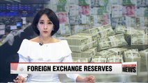 South Korea's FX reserves set record high in April