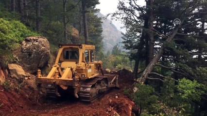 Hatay'daki orman yangını