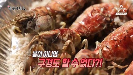 [예고] 봄맞이 제철 여행, 지금 놓치면 후회할 당신을 위해!