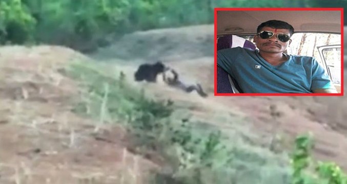 Ayı ile Selfi Çekmek İsteyen Adam Öfkeli Hayvan Tarafından Parçalandı, O Anlar Anbean Kaydedildi
