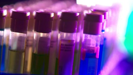 A Vida em Um Milhão de Anos | Nunca Digas Morte |  HD | P1 EP2