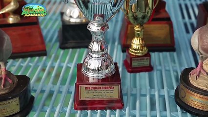 ALAGANG MAGALING S9 EP6 - FACE THE FANCIER - Micheal Alcantara