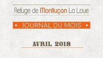 Un mois au refuge SPA de Montluçon : avril 2018