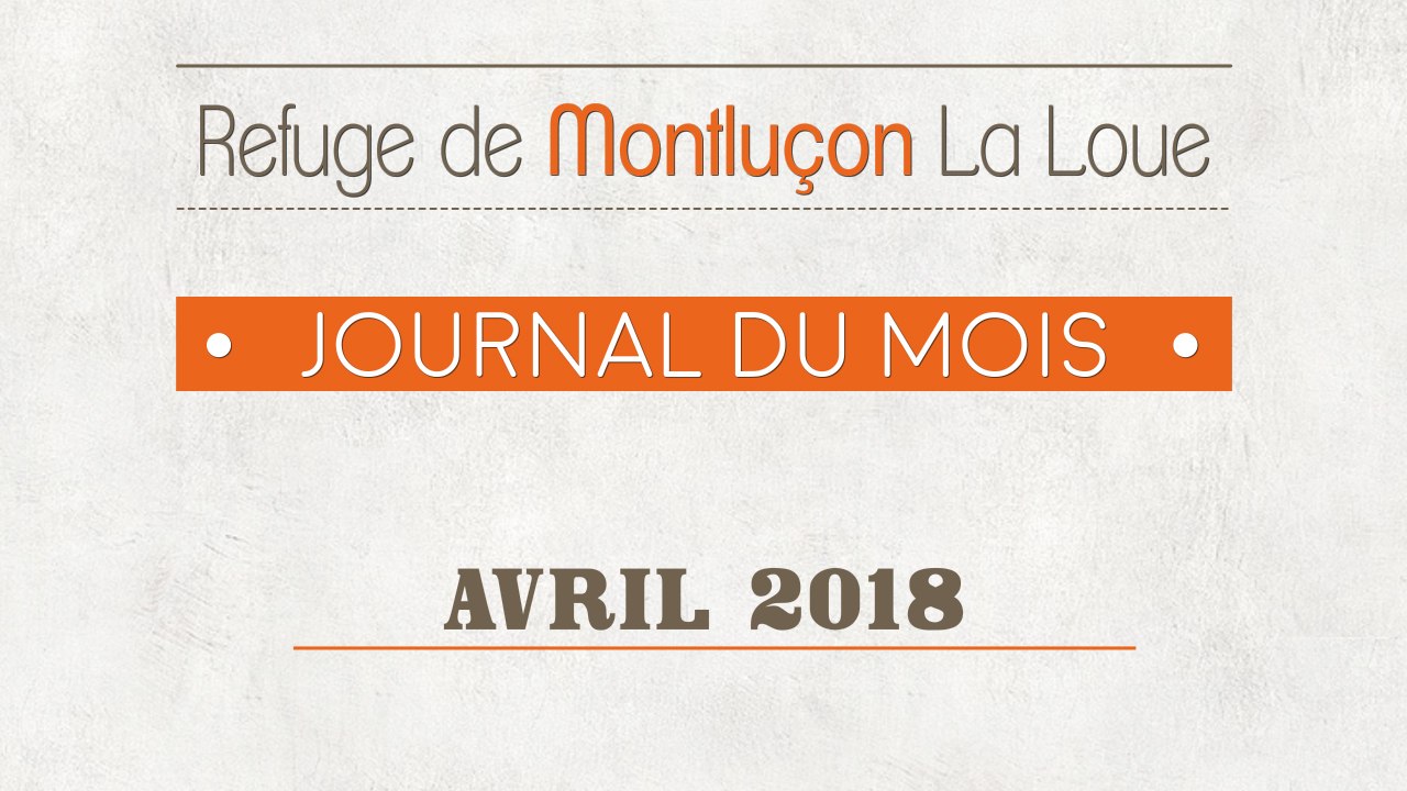 Un mois au refuge SPA de Montluçon : avril 2018