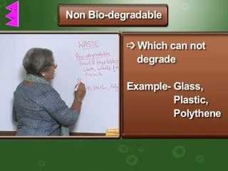 What is waste | Waste Management