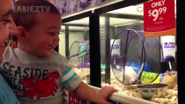 Bébés les plus drôles riant aux animaux de compagnie hystériquement - ESSAYEZ DE NE PAS RIRE