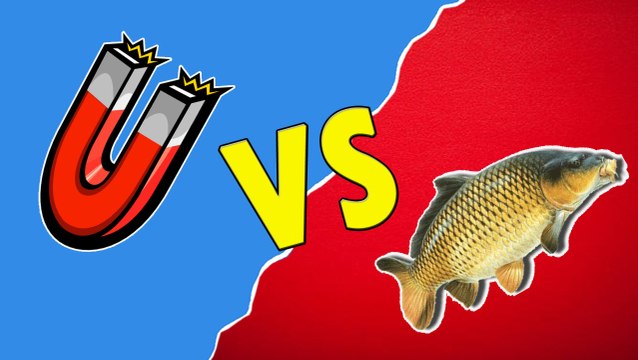 PÊCHE À L'AIMANT Vs PÊCHE À LA CARPE