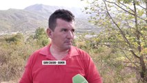 Shpëtohet ariu i murrmë - Top Channel Albania - News - Lajme