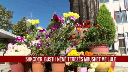 SHKODER, BUSTI I NËNË TEREZËS MBUSHET ME LULE