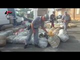 Operacioni në Ferrara - Kapen 2 ton marijuanë shqiptare në Itali, arrestohet korrieri nga Vlora