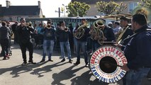 Jazz sous les pommiers. Sasa Krstić Orkestar joue sur le marché.