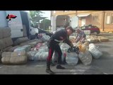 Ora News - Kapen 2 ton marijuanë shqiptare në Itali, arrestohet korrieri nga Vlora