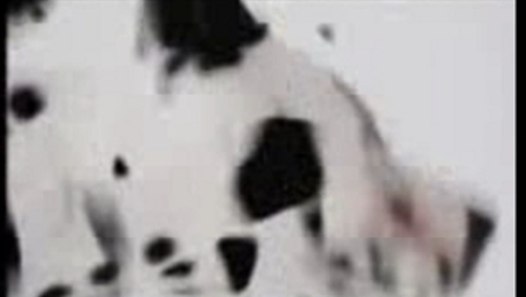 102 Dalmatians (Teaser Trailer) - video dailymotion