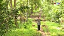THVL   Chuyện xưa tích cũ–Tập 18[3]  Gặp tượng Thổ công bị bỏ trong rừng, Minh mang về nhà thờ phụng